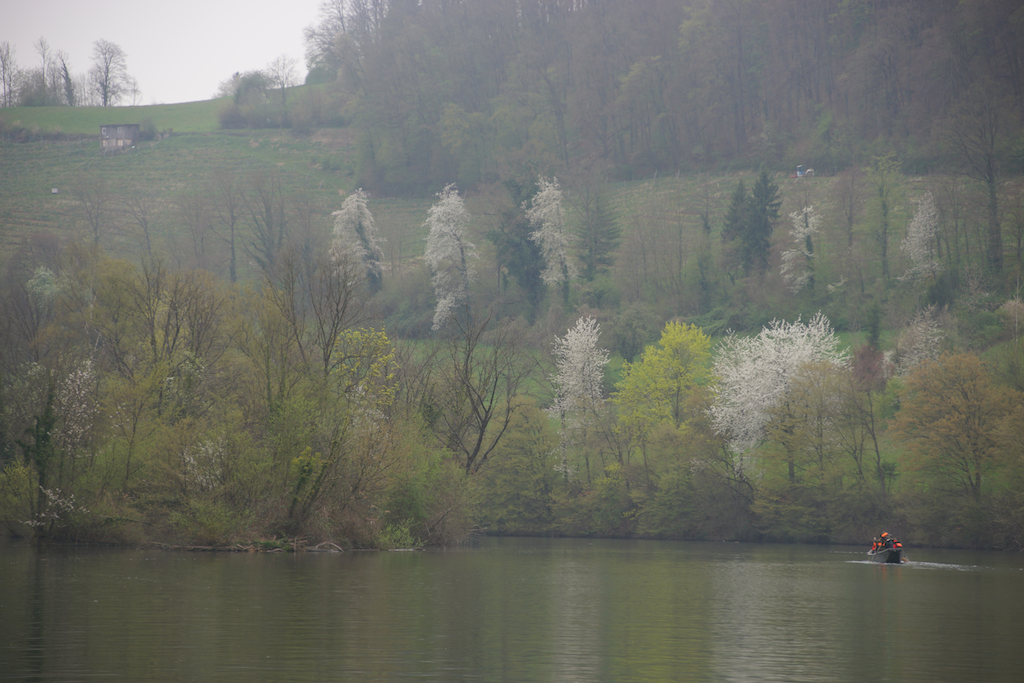 schiffe_wassern (32)
